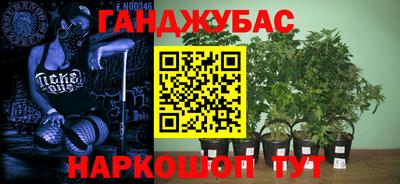 ешки Гай