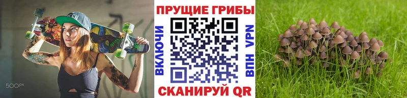 закладка Шебекино Псилоцибиновые грибы GOLDEN TEACHER