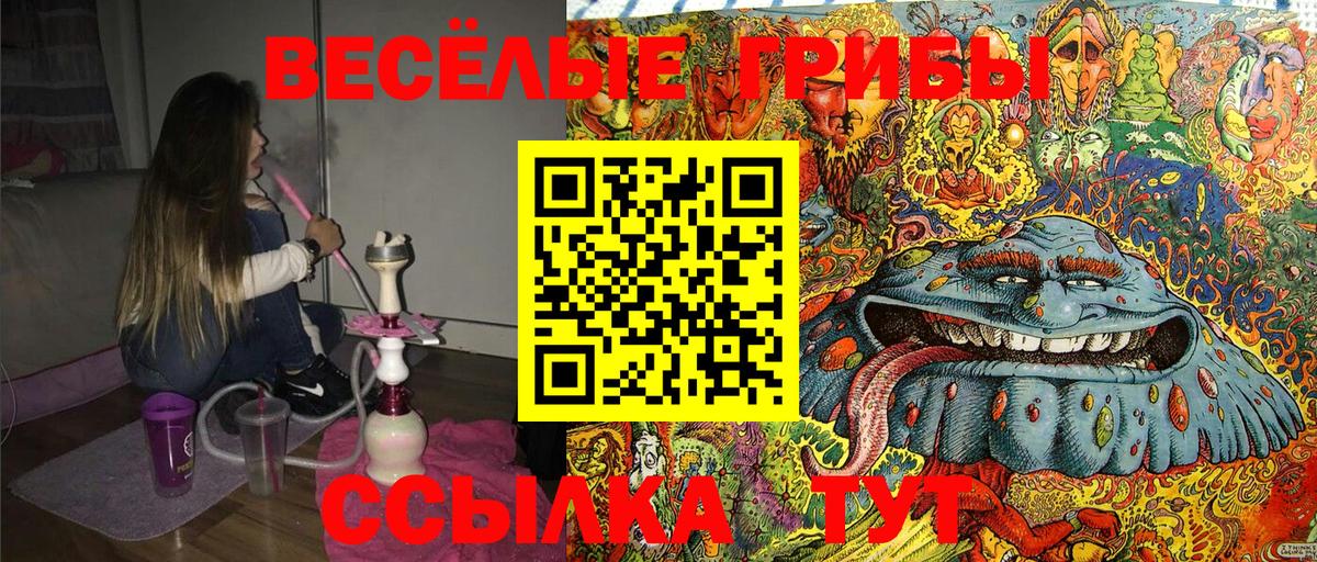 Галлюциногенные грибы MAGIC MUSHROOMS  Вход с VPN  Шебекино 