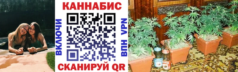 Бошки Шишки марихуана Шебекино
